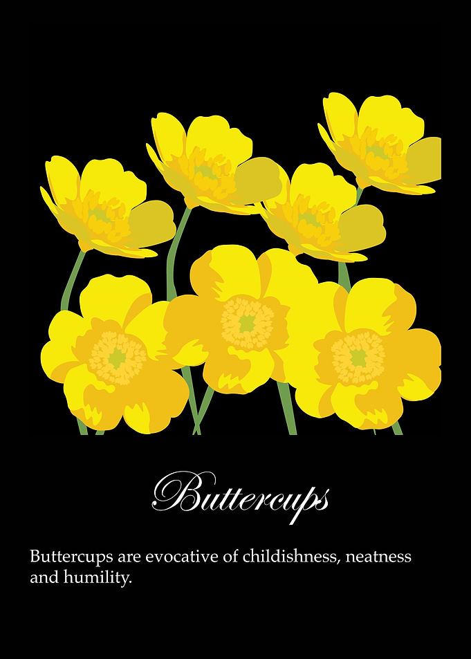 Buttercups poster