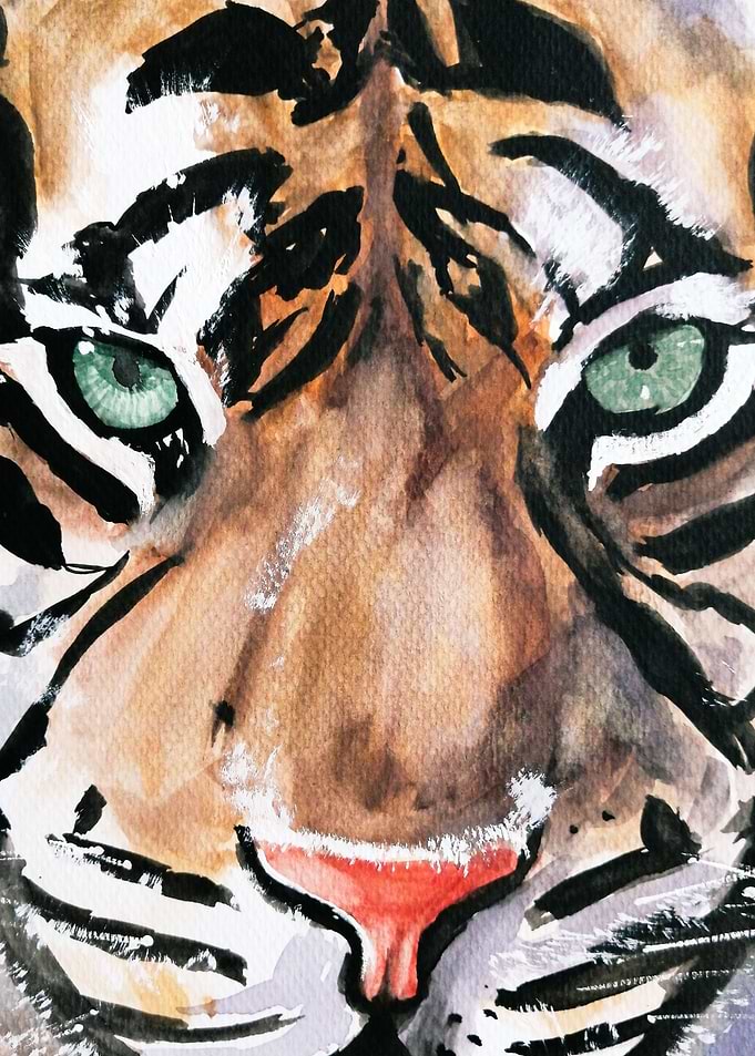 Tiger at the coffee shop