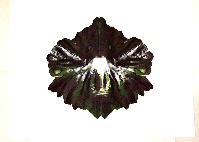 Rorschach images