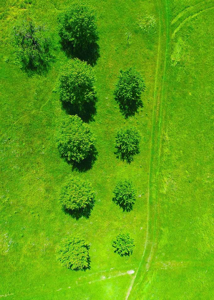 World From Above