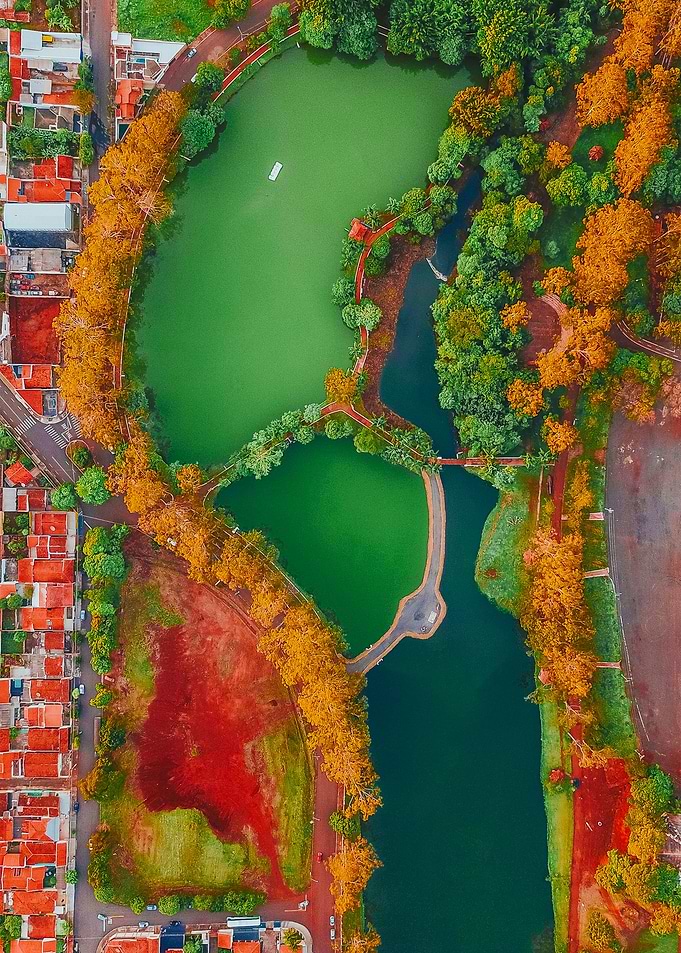 World From Above