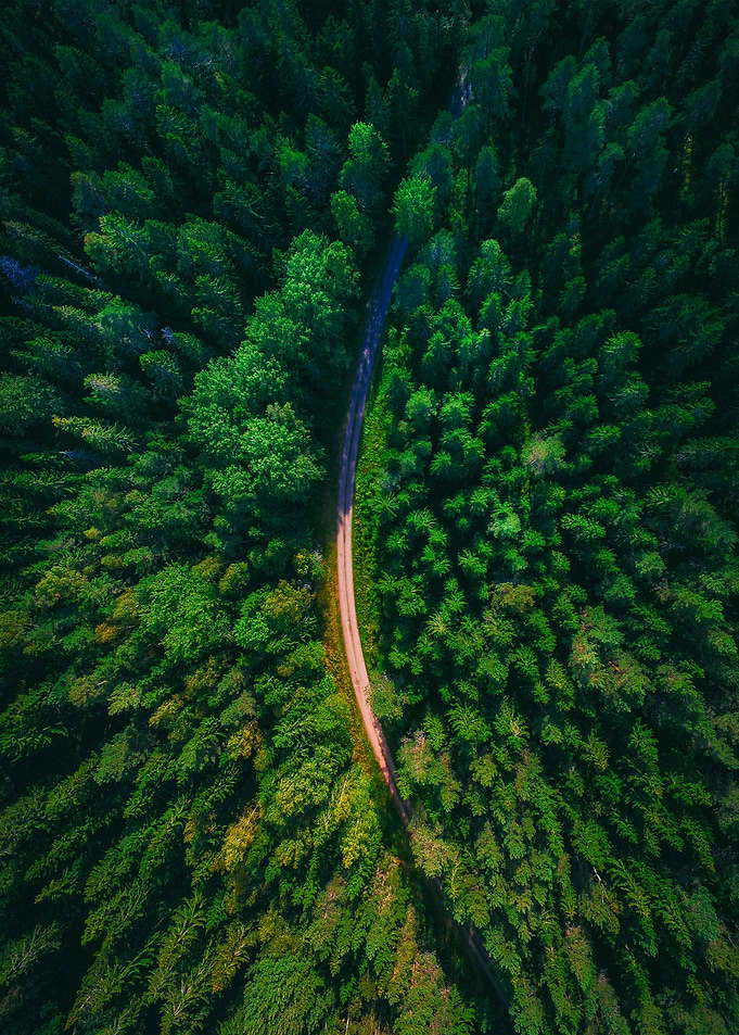 World From Above