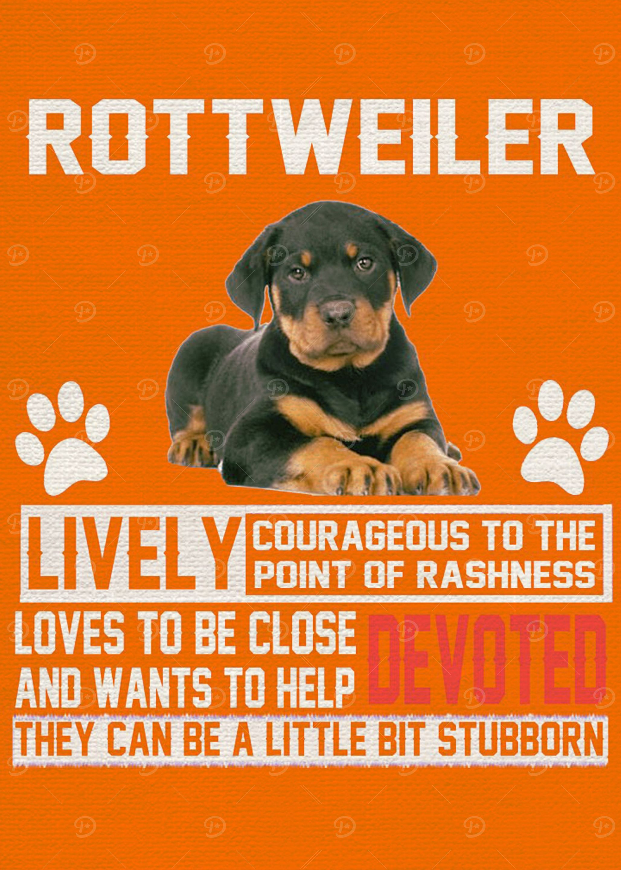 Rottweiler Posters