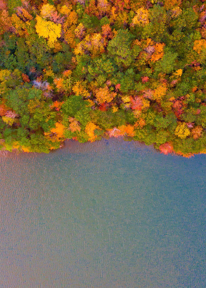 World From Above