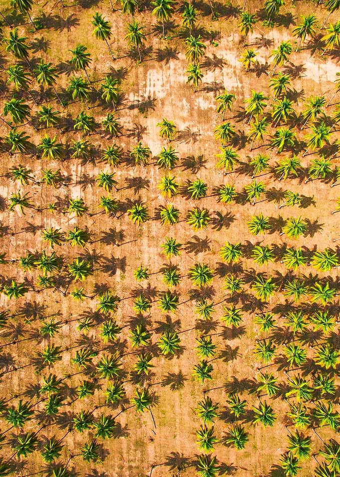 World From Above