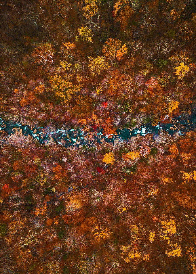 World From Above