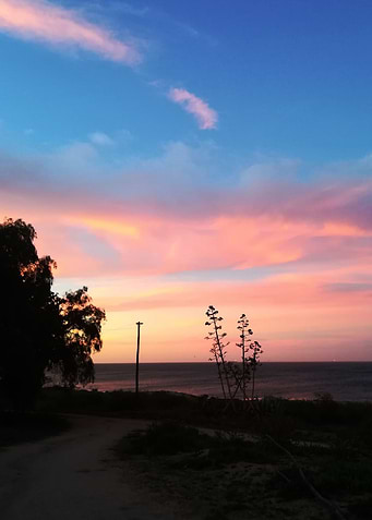 Early Sun set