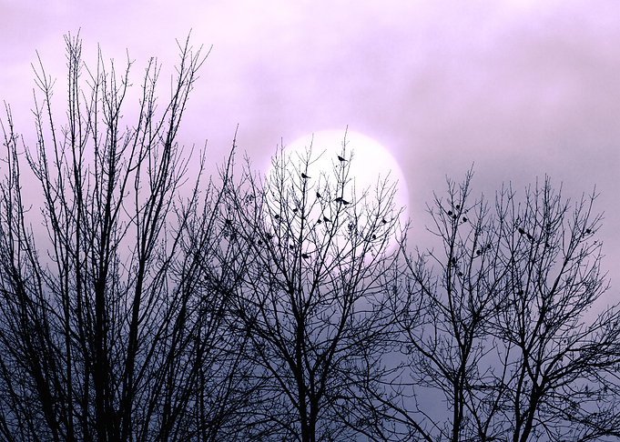 The Day Before Winter