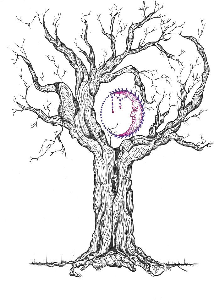 Celestial Roots