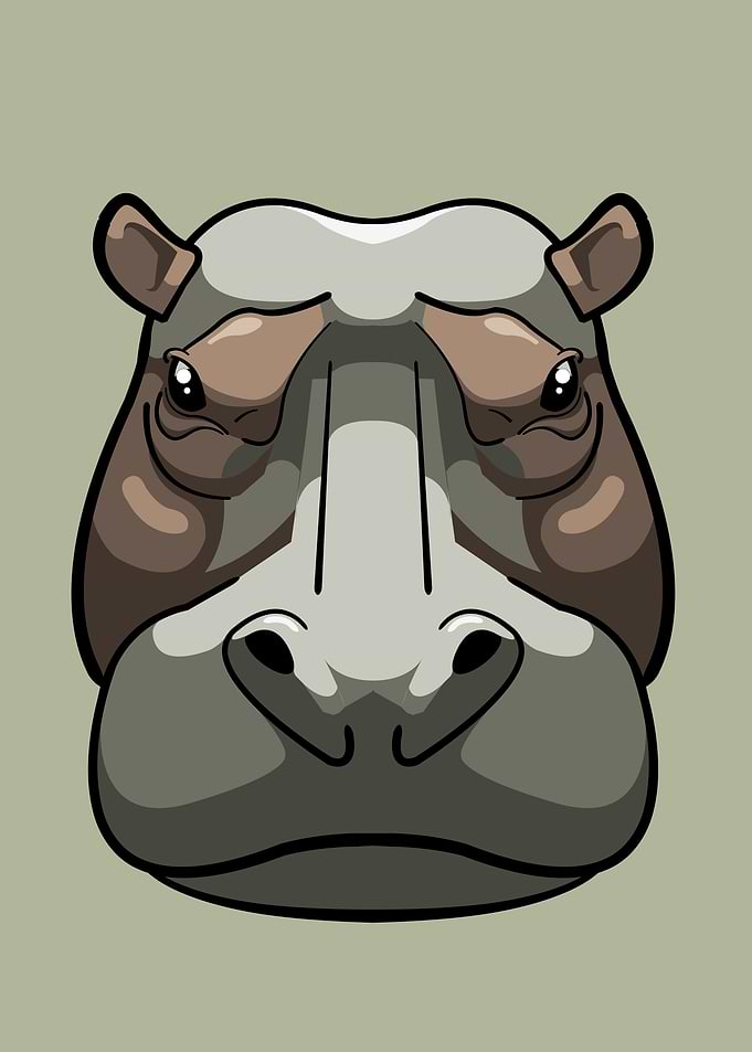 Hippo portrait