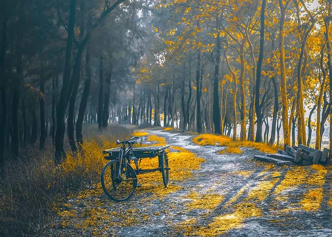 alone ven
