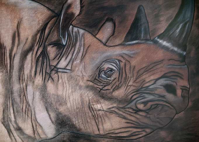 Black Rhino