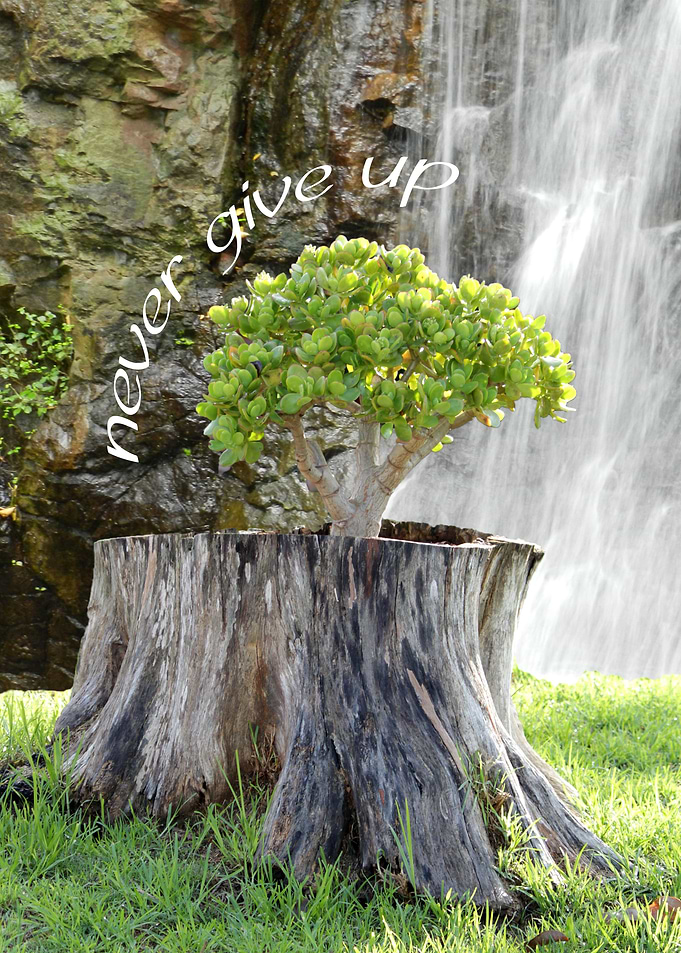 Never give up