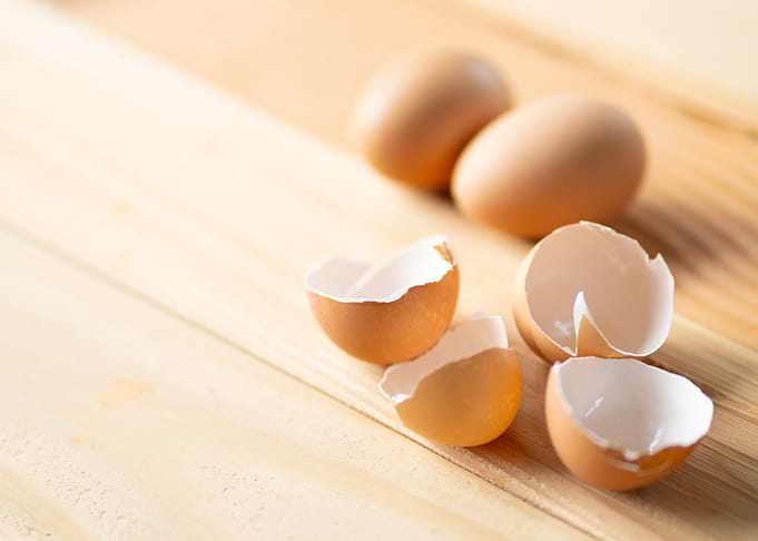 egg and cracked eggshell