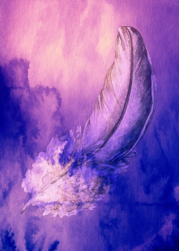 The Feather