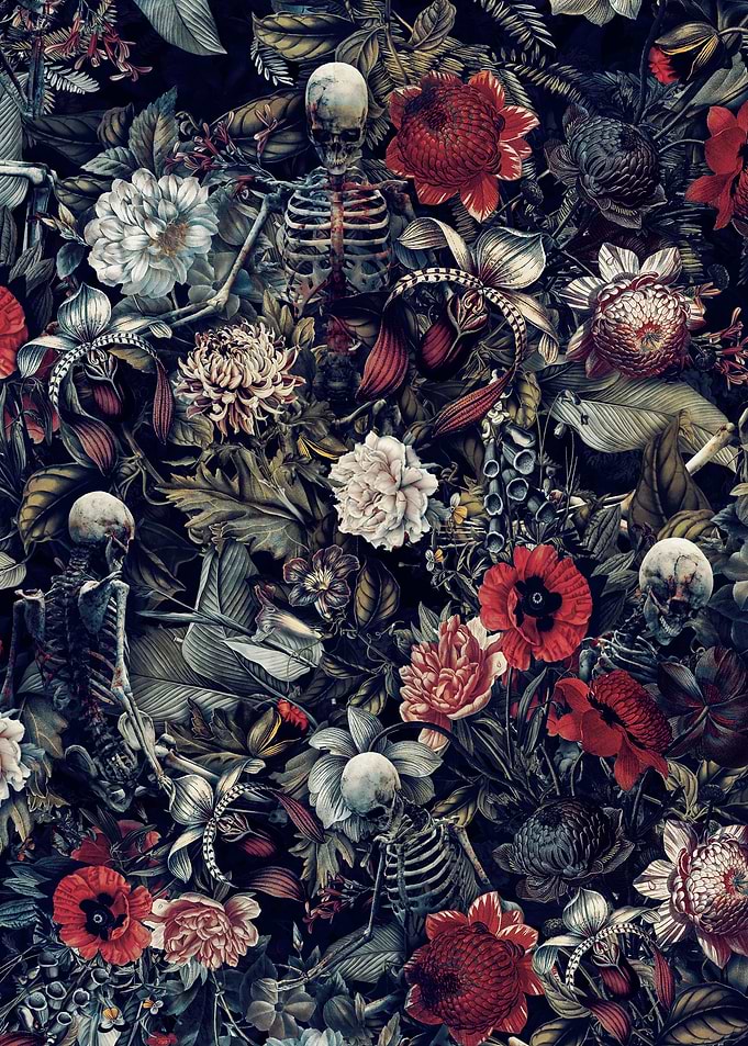 Skeleton Zone
