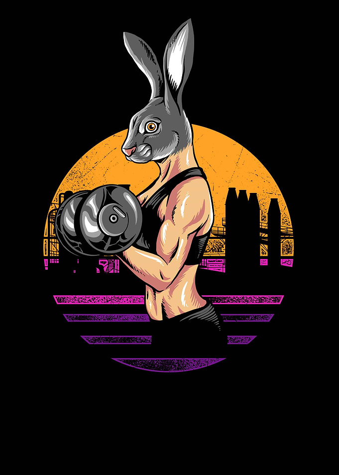 rabbit gym