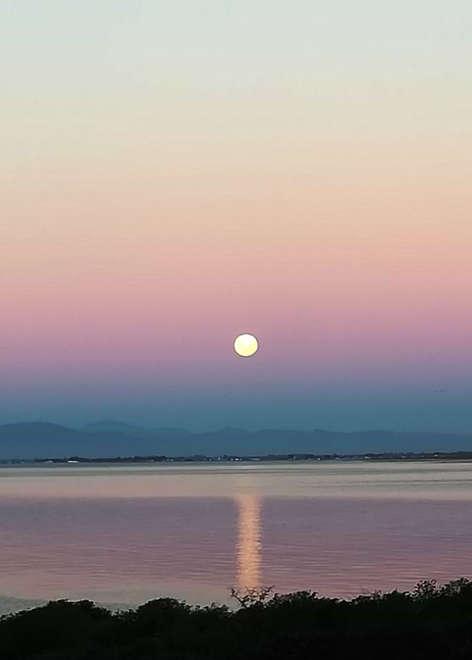 Sun Rise