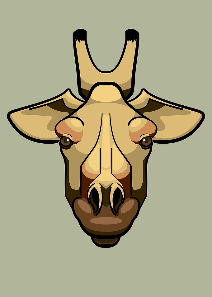 Giraffe portrait