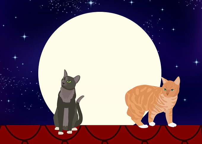 Cats on a rooftop