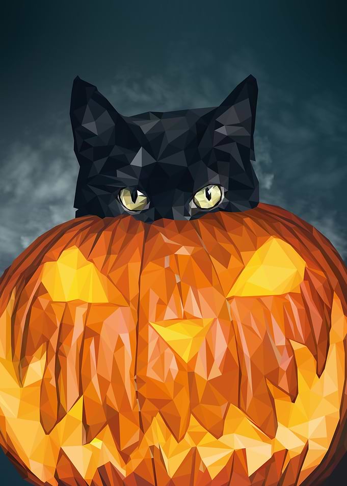 Halloween Cat