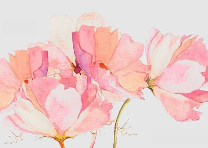 floral