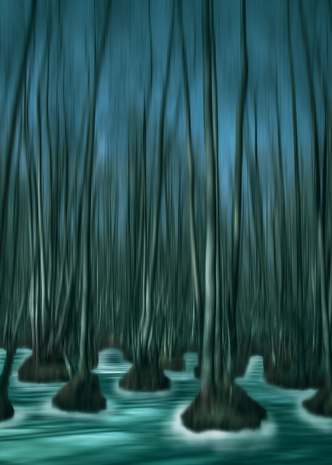 Mystic Swamp