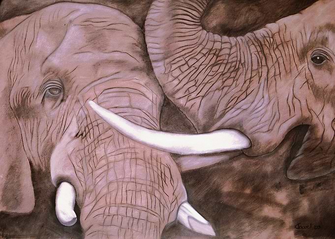 Two African Elephants