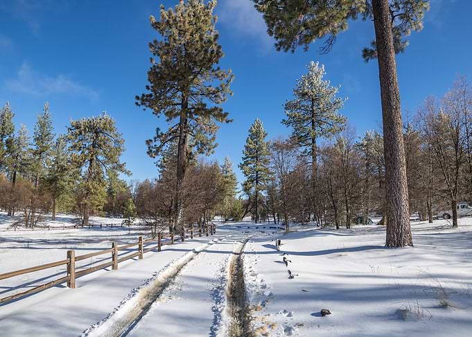Mt Laguna Winter