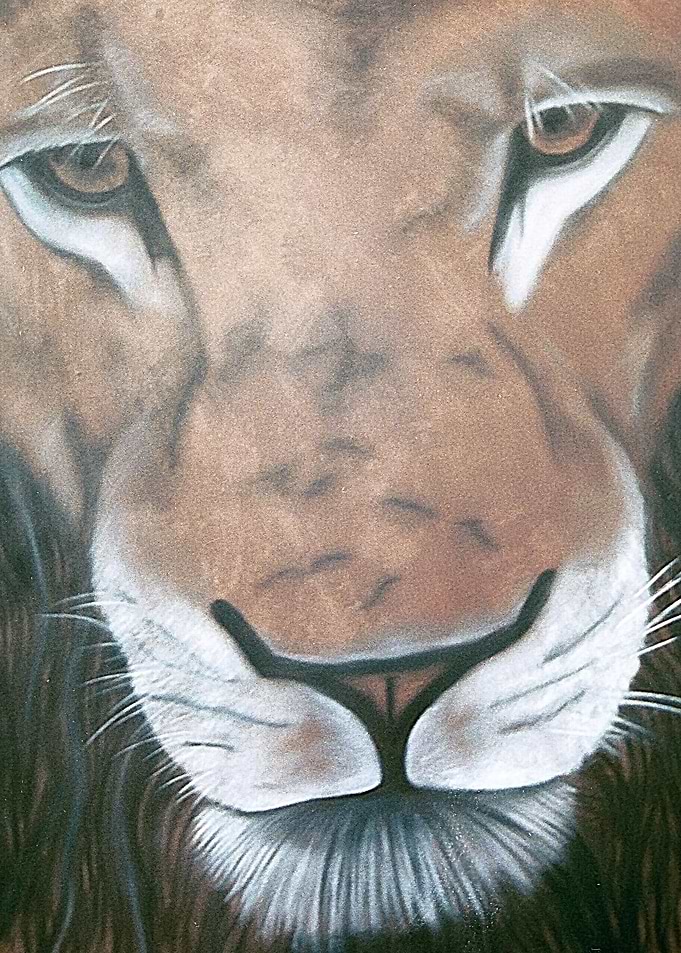 Male African Lion