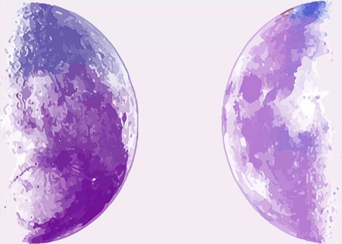 moon