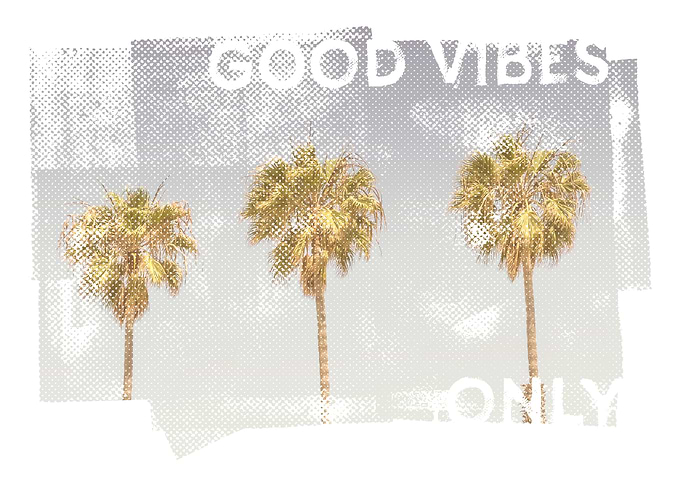 Vintage palm trees