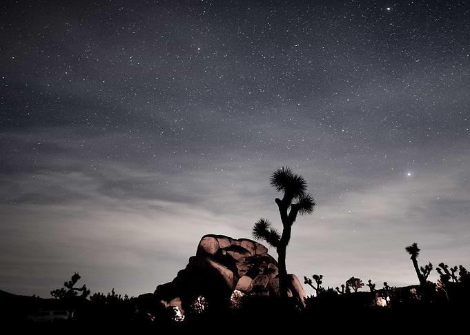 Joshua Tree Night Sky