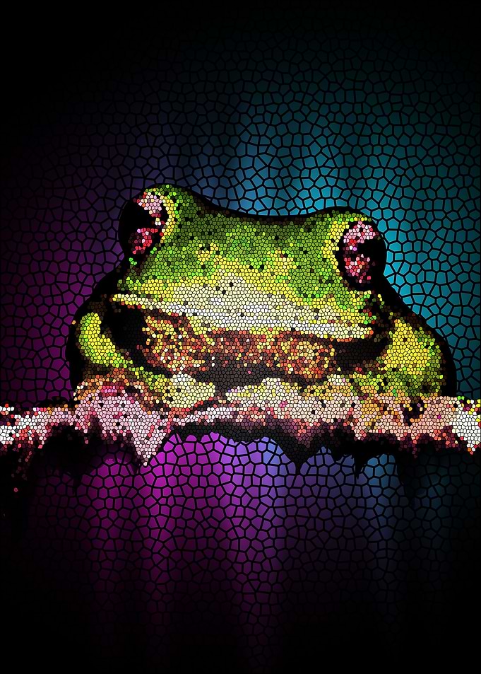 Frog Abstract