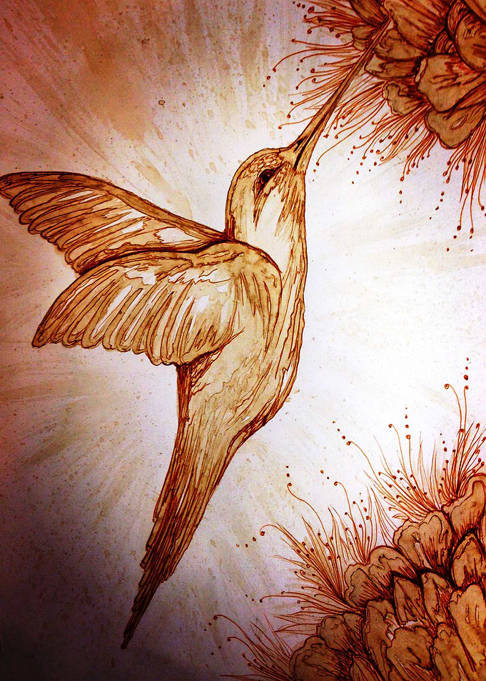 Hummingbird