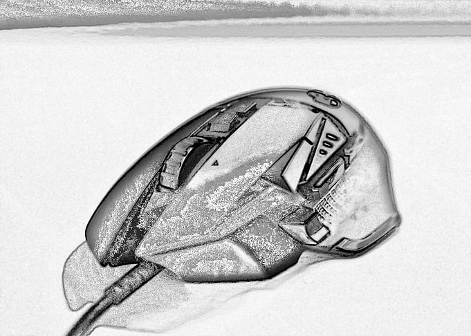 Mouse