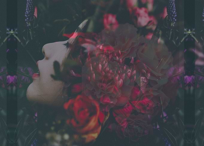 Blossom mind