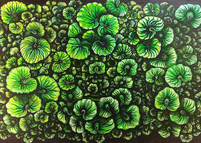 Soul of Nature