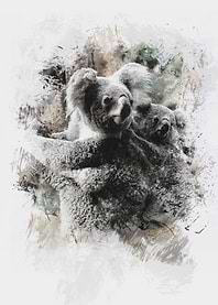 Koala Hug