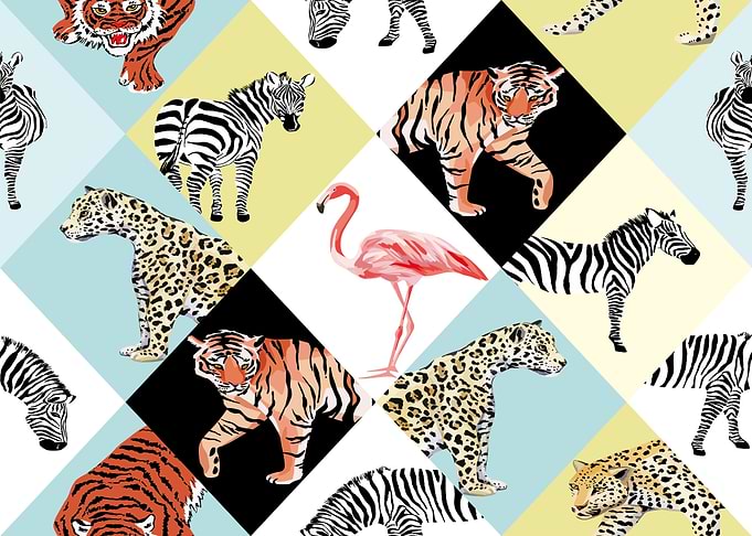 Animals Zebra Tiger Leo