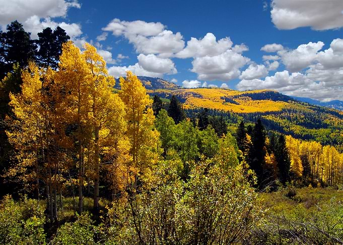 Autumn in New Mexico