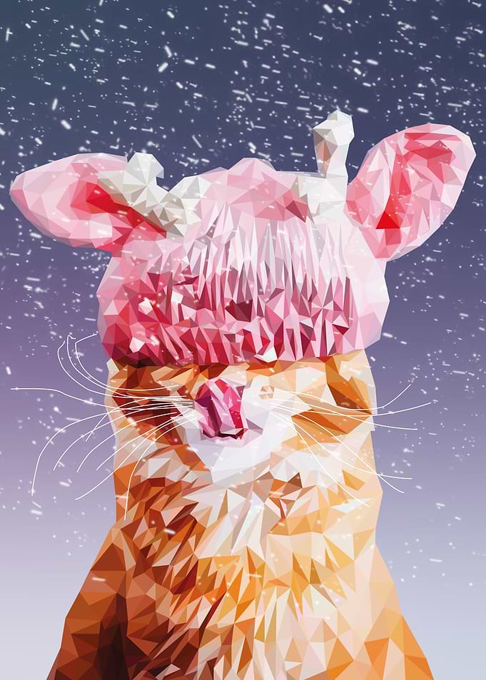 Winter Cat