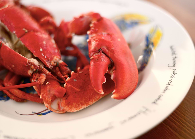 Lobster