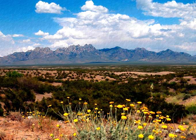 Organ Mountain Splendor