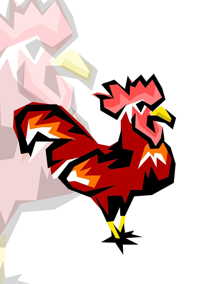 cock