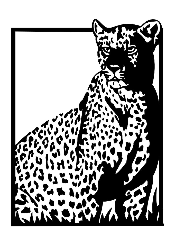 leophard