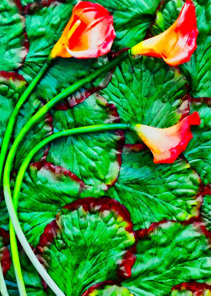 Flower Power