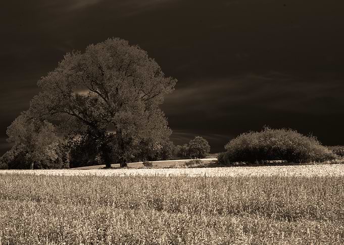 Mystery nature