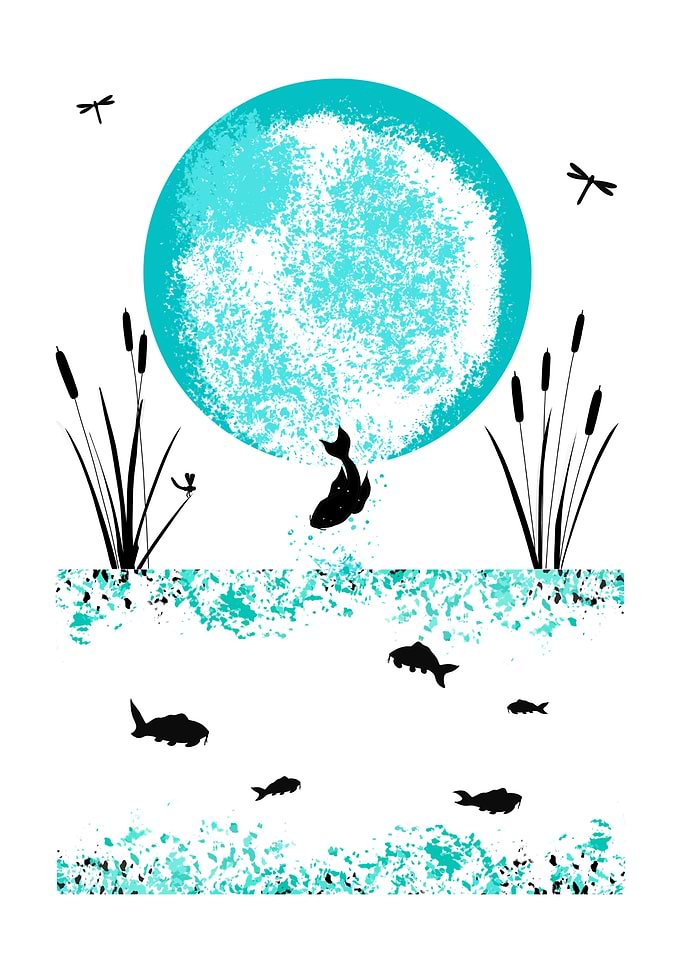 Fish and Moon