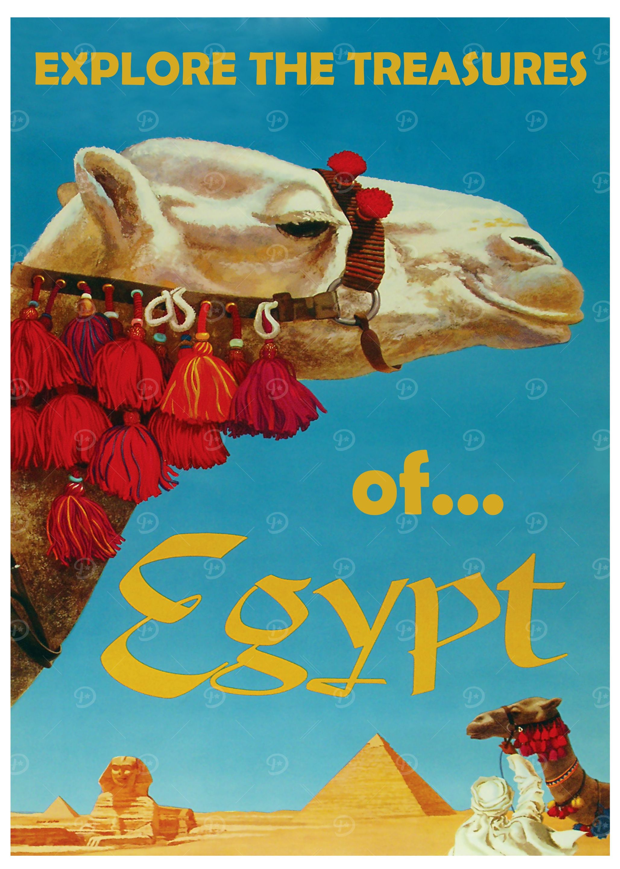Camel in Egypt